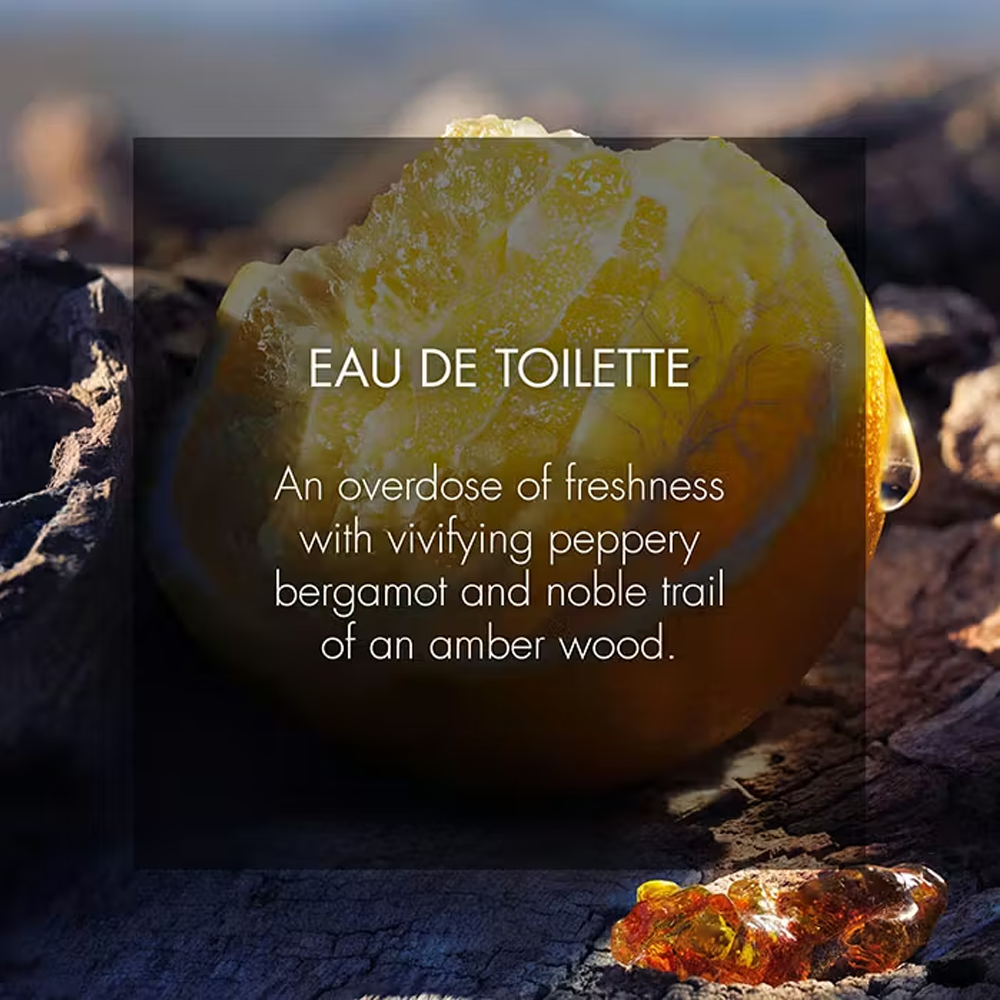 Dior SAUVAGE Eau De Toilette